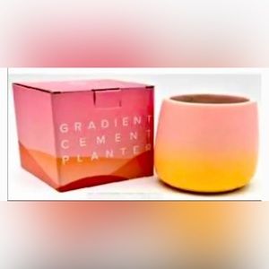 Sunset Park Small‎ Gradient Cement Planter pink, peach, yellow ombre